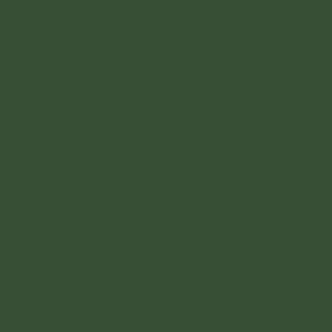 option-color