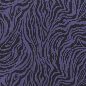 option-color