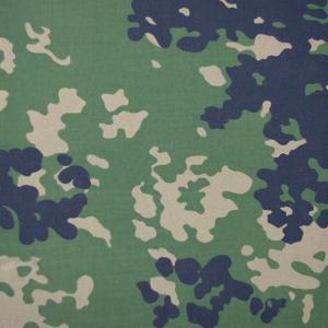 Flectarn-D/ Север