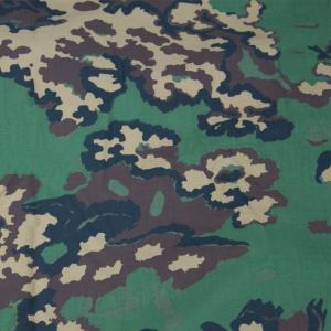 СС-Лето / Партизан