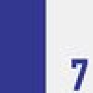#7 White & Dark Blue
